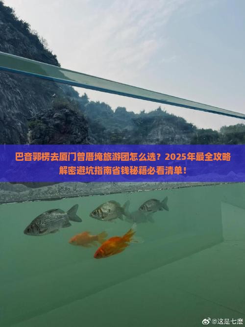 巴音郭楞去厦门曾厝埯大型旅游团