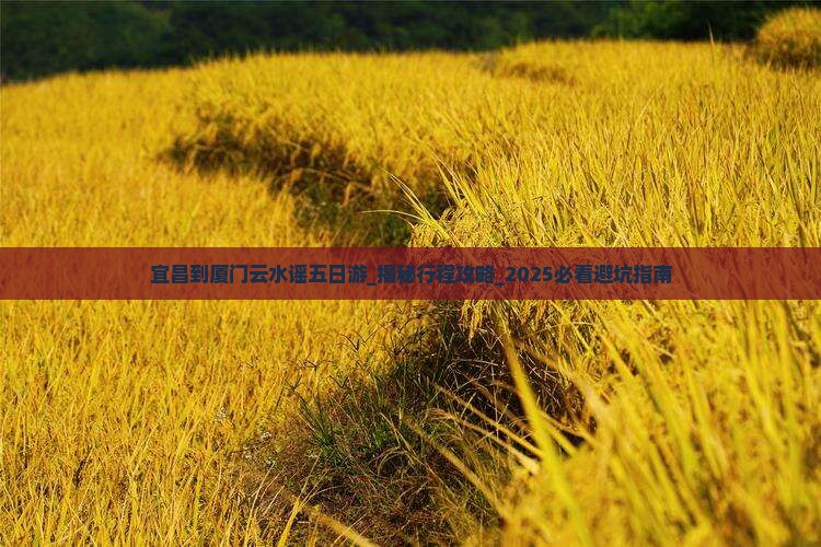 宜昌到厦门云水谣五日游