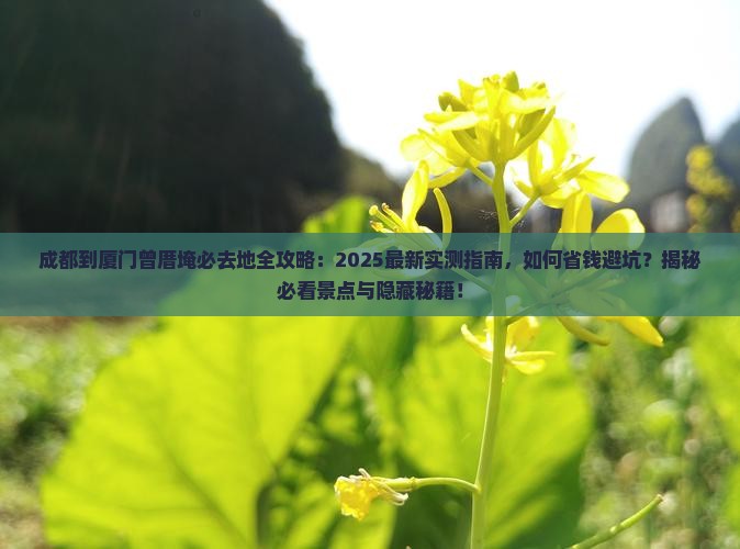 成都到厦门曾厝埯必去地