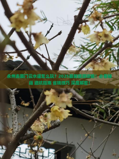 永州去厦门云水谣团体旅游 永州去厦门云水谣团体旅游