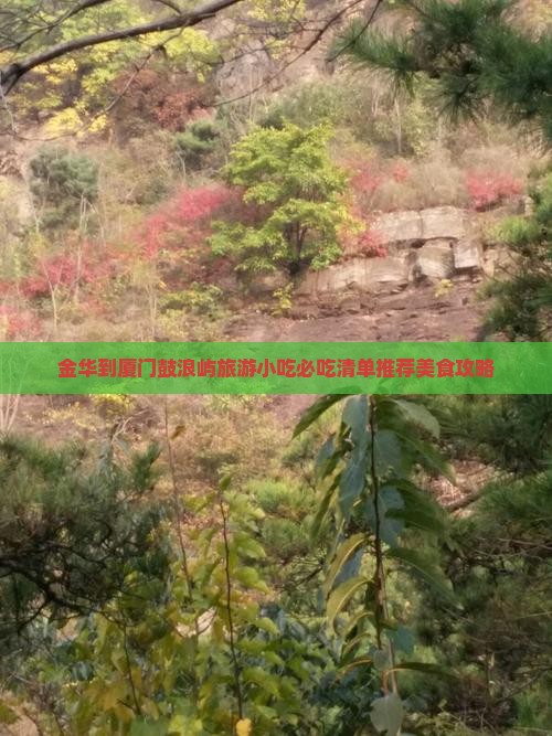 金华到厦门鼓浪屿旅游小吃