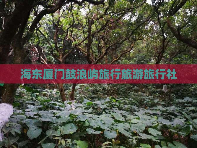 海东去厦门鼓浪屿旅行社