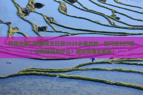 鸡西去厦门南普陀五日游