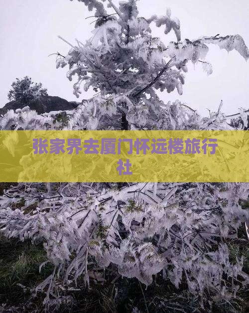 张家界去厦门怀远楼旅行社