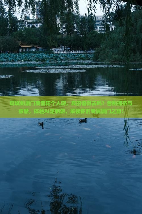 聊城到厦门南普陀个人游