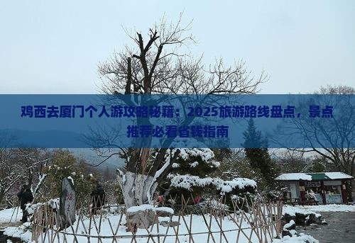鸡西去厦门个人游