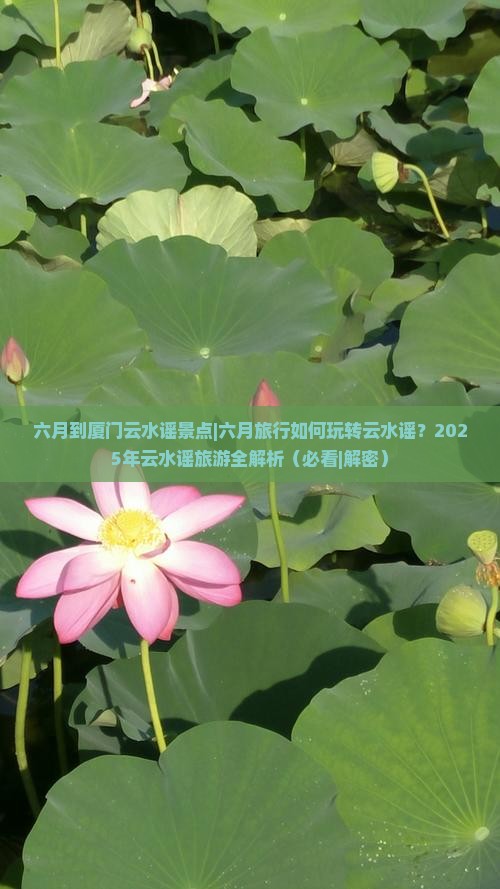 六月到厦门云水谣景点 六月到厦门云水谣景点