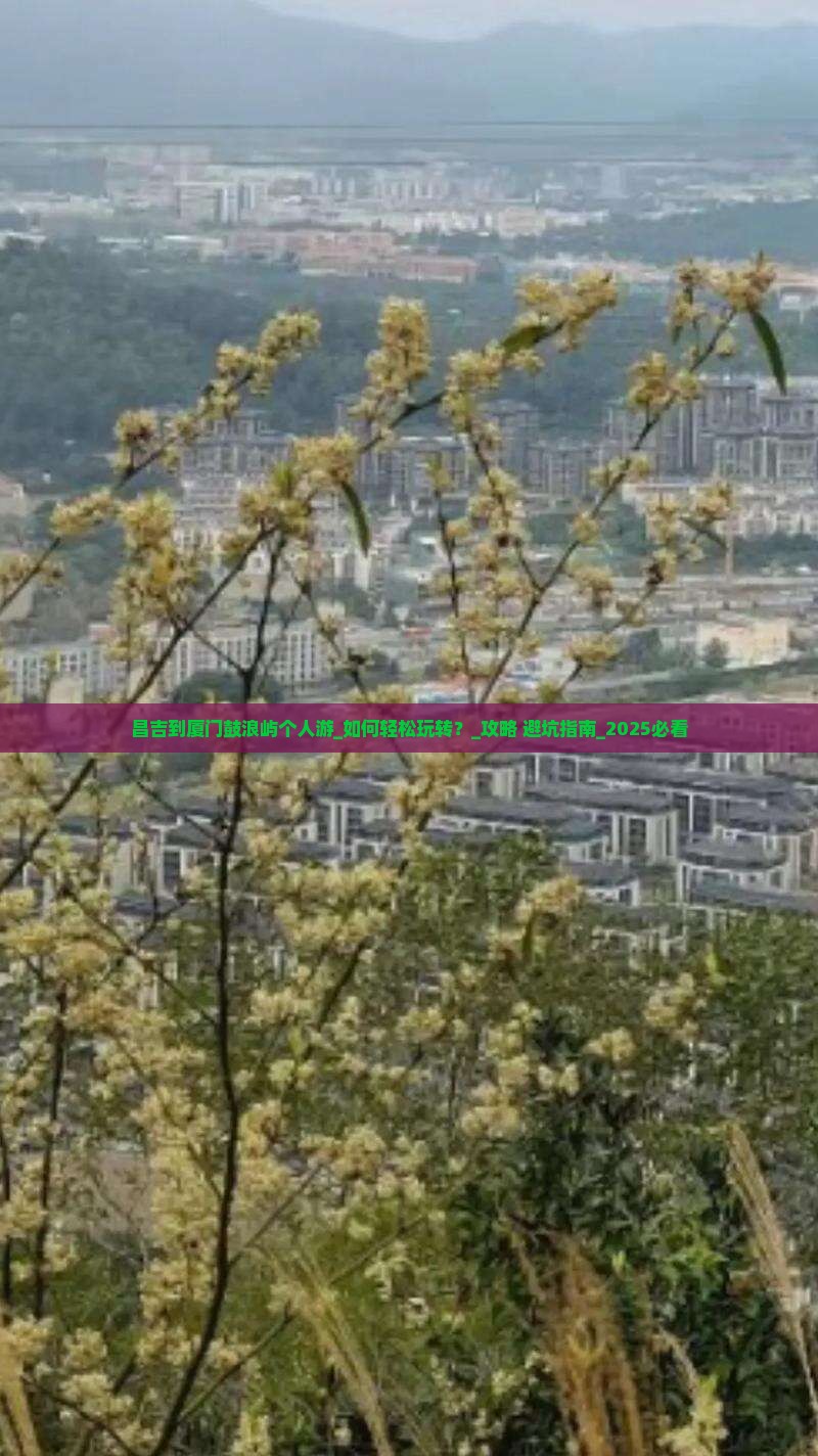 昌吉到厦门鼓浪屿个人游