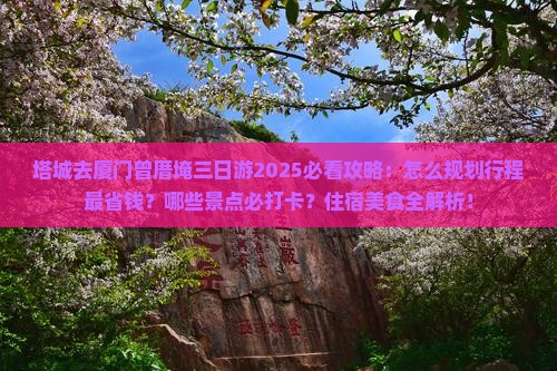 塔城去厦门曾厝埯三日游