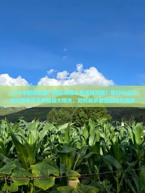 鹤岗到厦门菽庄花园旅行社