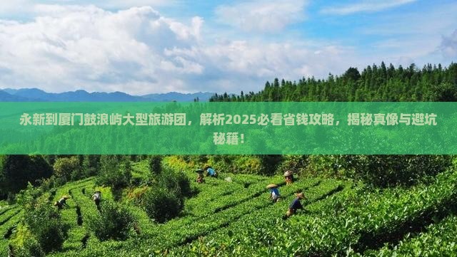 永新到厦门鼓浪屿大型旅游团