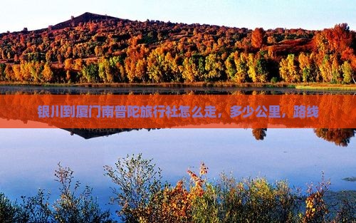 银川到厦门南普陀旅行社