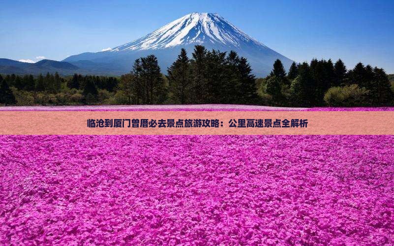 临沧到厦门曾厝埯必去地