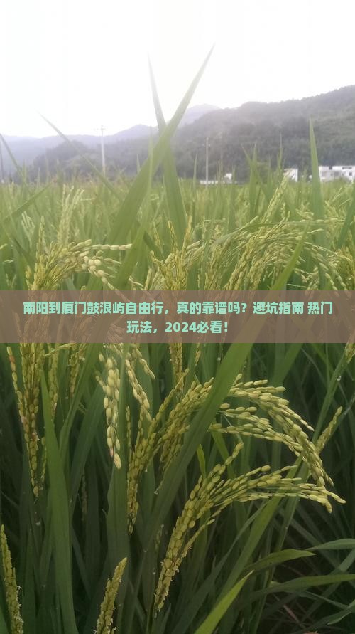 南阳到厦门鼓浪屿自由行