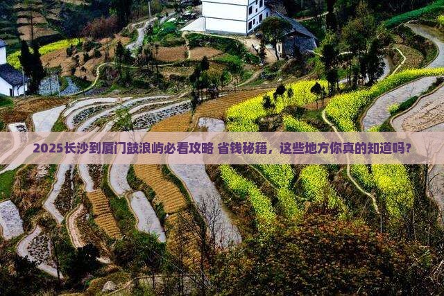 长沙到厦门鼓浪屿哪里玩