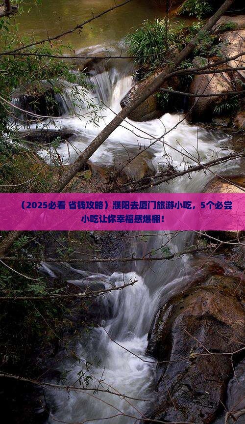 濮阳去厦门旅游小吃