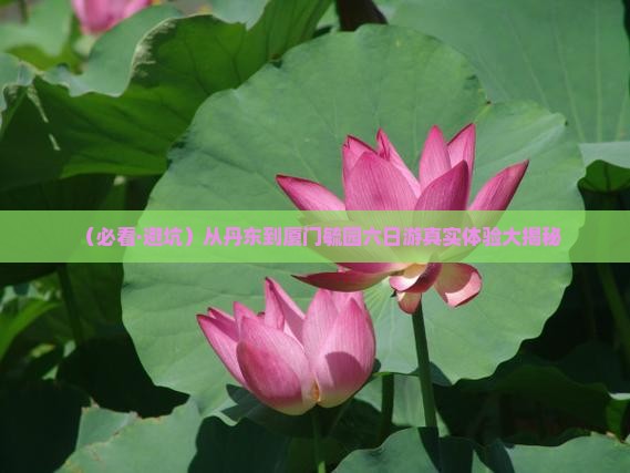 丹东去厦门毓园六日游