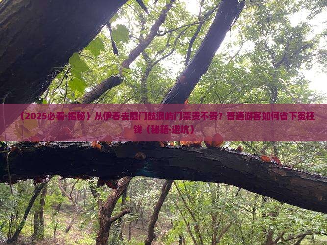 伊春到厦门鼓浪屿门票