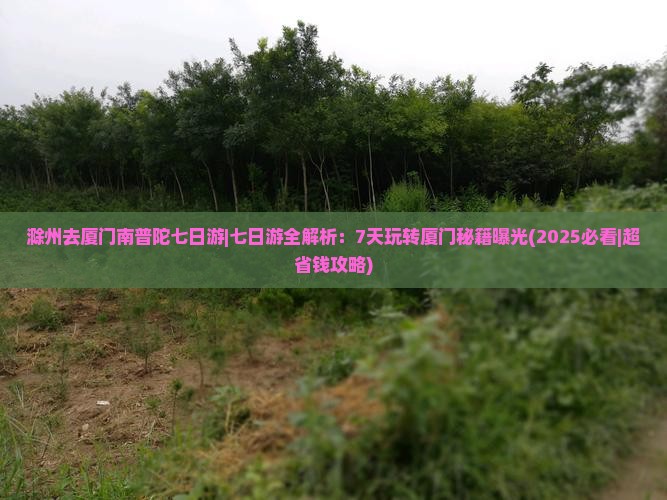 滁州去厦门南普陀七日游