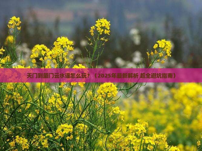 天门去厦门云水谣必去地