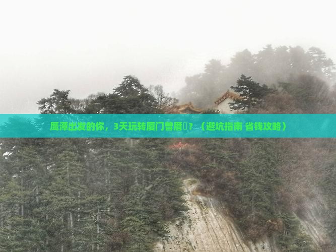 鹰潭到厦门曾厝埯自由团
