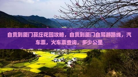 自贡到厦门菽庄花园攻略