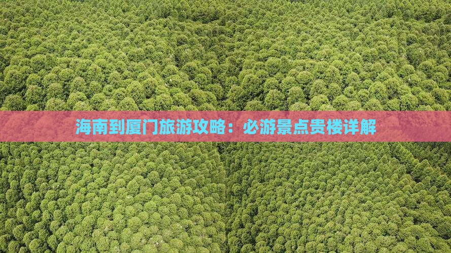 海南到厦门和贵楼旅游