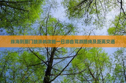珠海到厦门鼓浪屿攻略