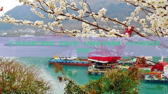 江门去厦门南普陀旅游小吃