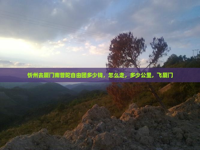 忻州去厦门南普陀自由团