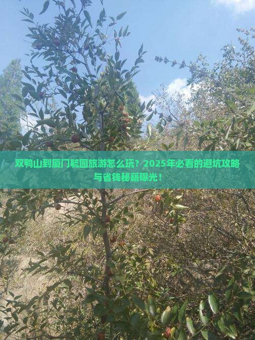 双鸭山到厦门毓园旅游