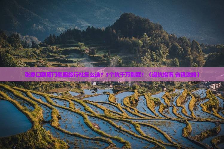 张家口到厦门毓园旅行社
