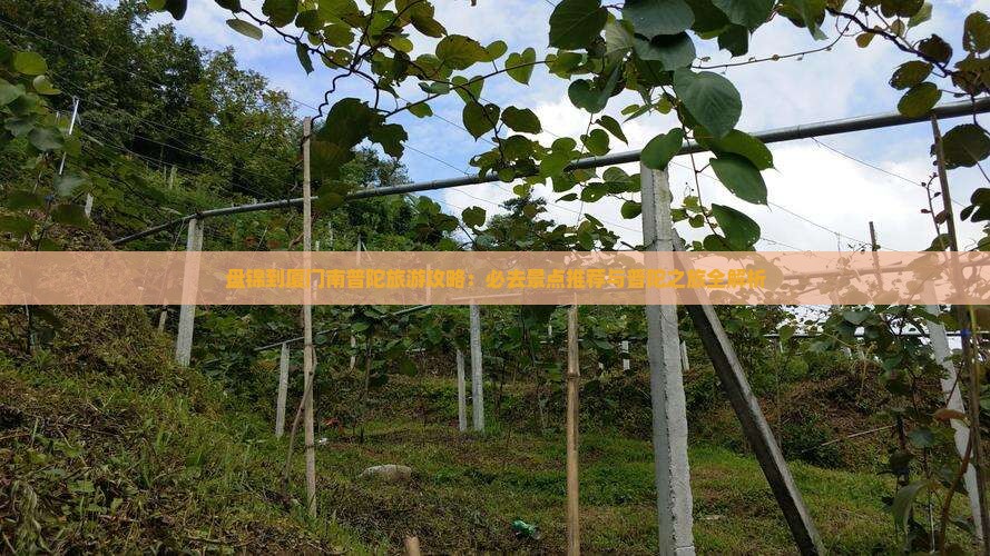 盘锦去厦门南普陀自由团