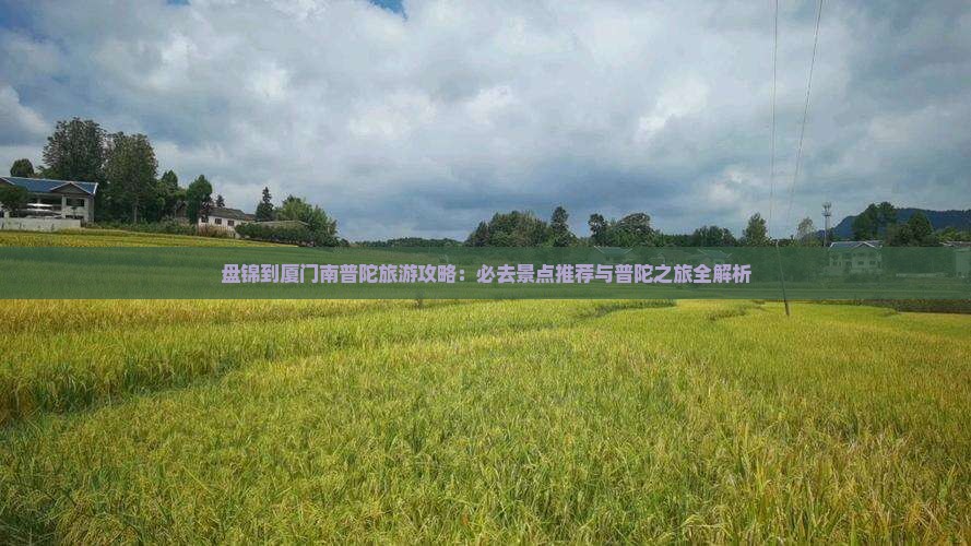 盘锦去厦门南普陀自由团