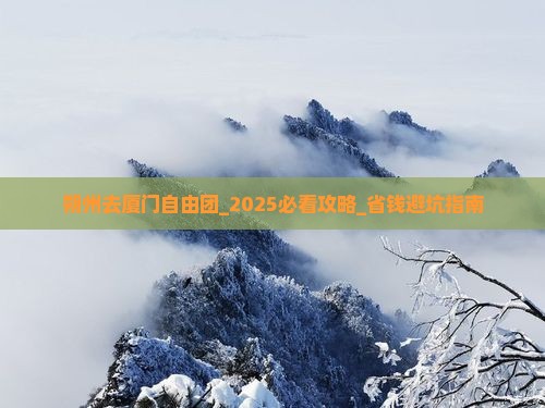朔州去厦门自由团