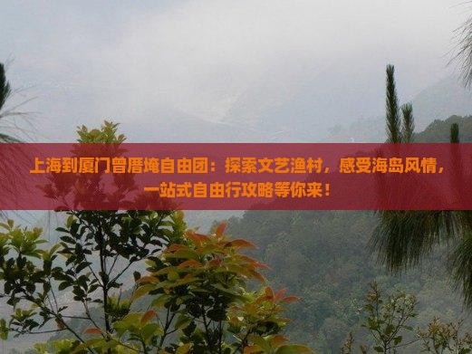 上海到厦门曾厝埯自由团