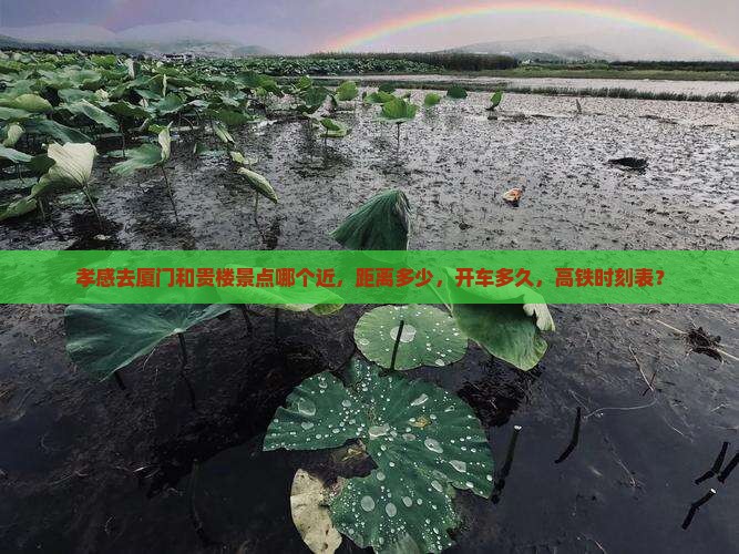孝感去厦门和贵楼景点