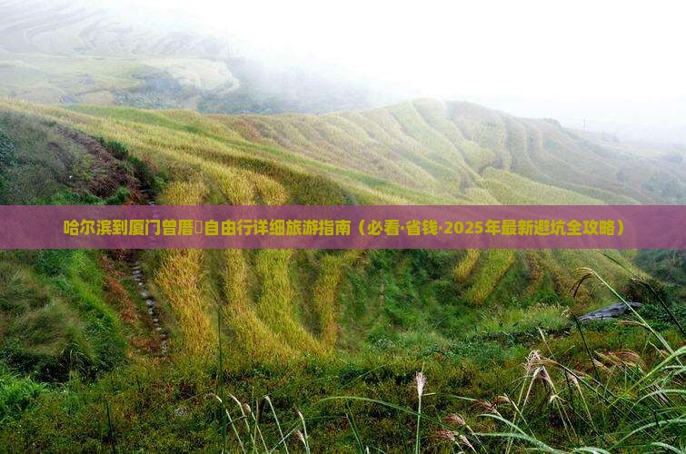哈尔滨到厦门曾厝埯旅游