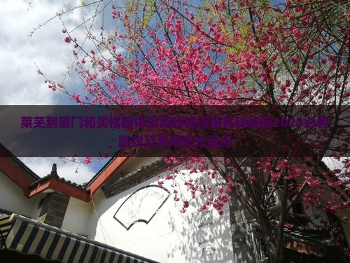 莱芜到厦门和贵楼团体旅游