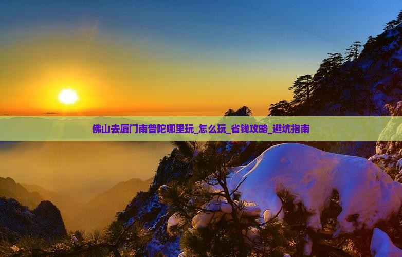 佛山去厦门南普陀哪里玩
