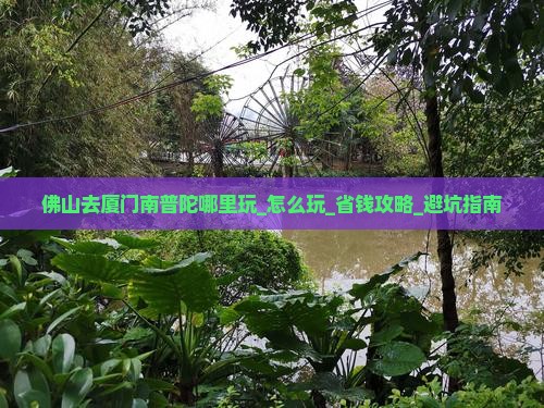 佛山去厦门南普陀哪里玩