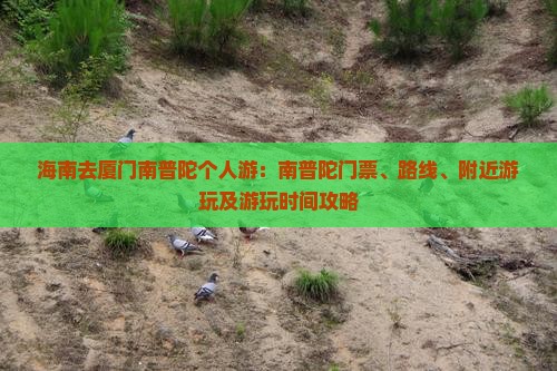 海南去厦门南普陀个人游