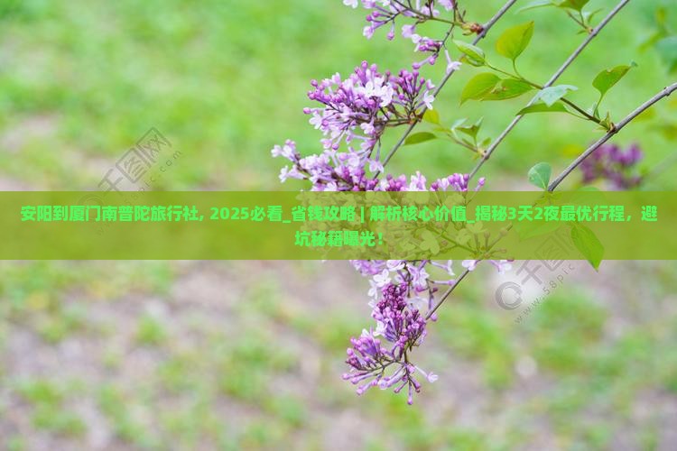 安阳到厦门南普陀旅行社