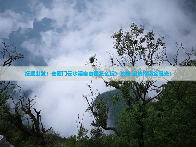 抚顺去厦门云水谣自由团