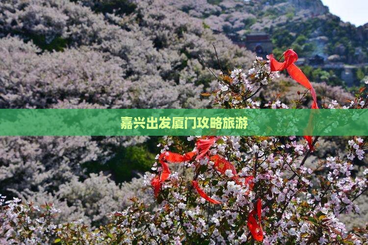 嘉兴去厦门自由团