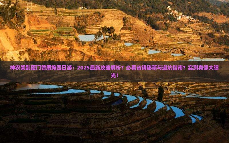 神农架去厦门曾厝埯四日游