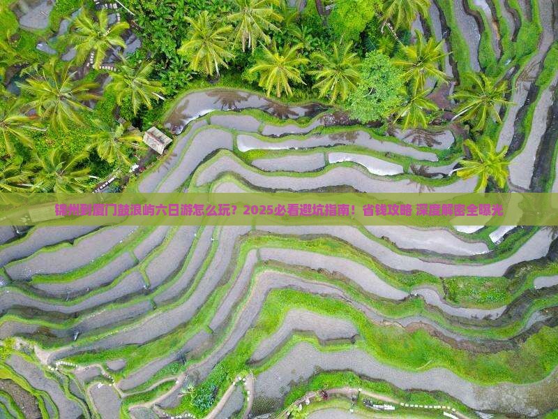 锦州到厦门鼓浪屿六日游