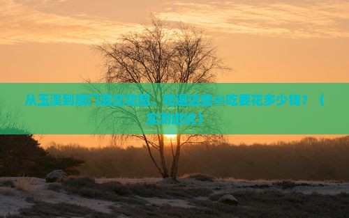 玉溪到厦门菽庄花园旅游小吃