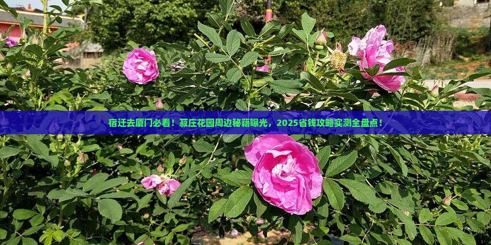 宿迁到厦门菽庄花园必去地