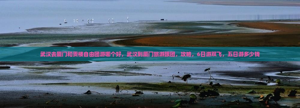 武汉去厦门和贵楼自由团